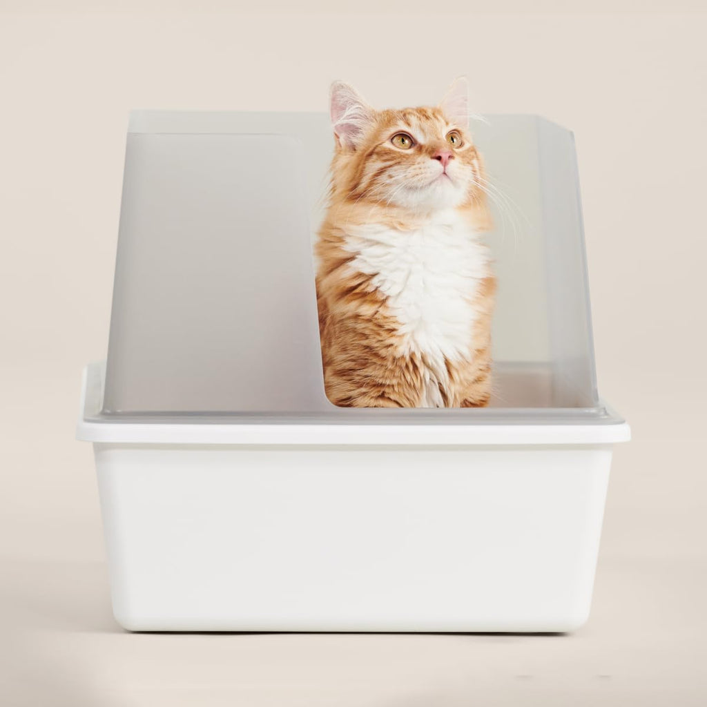 High Sided Cat Litter Box Open Top Anti-Stick Plastic White/Gray I247