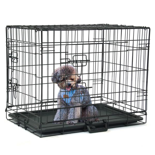 24-48 Inch Folding Dog Crate with Tray and Divider Panel Y667567