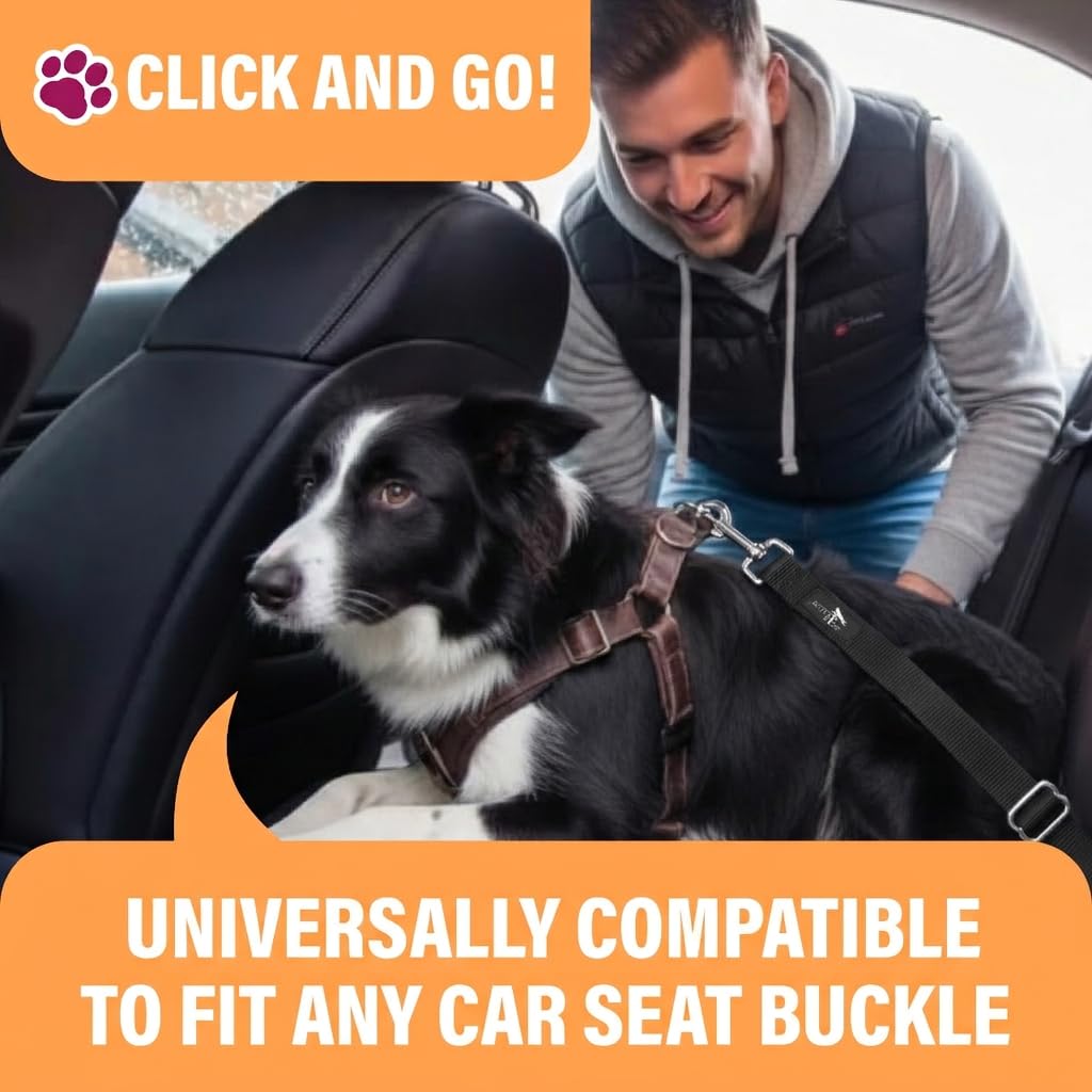 Black Adjustable Dog Car Seat Belt Q2176