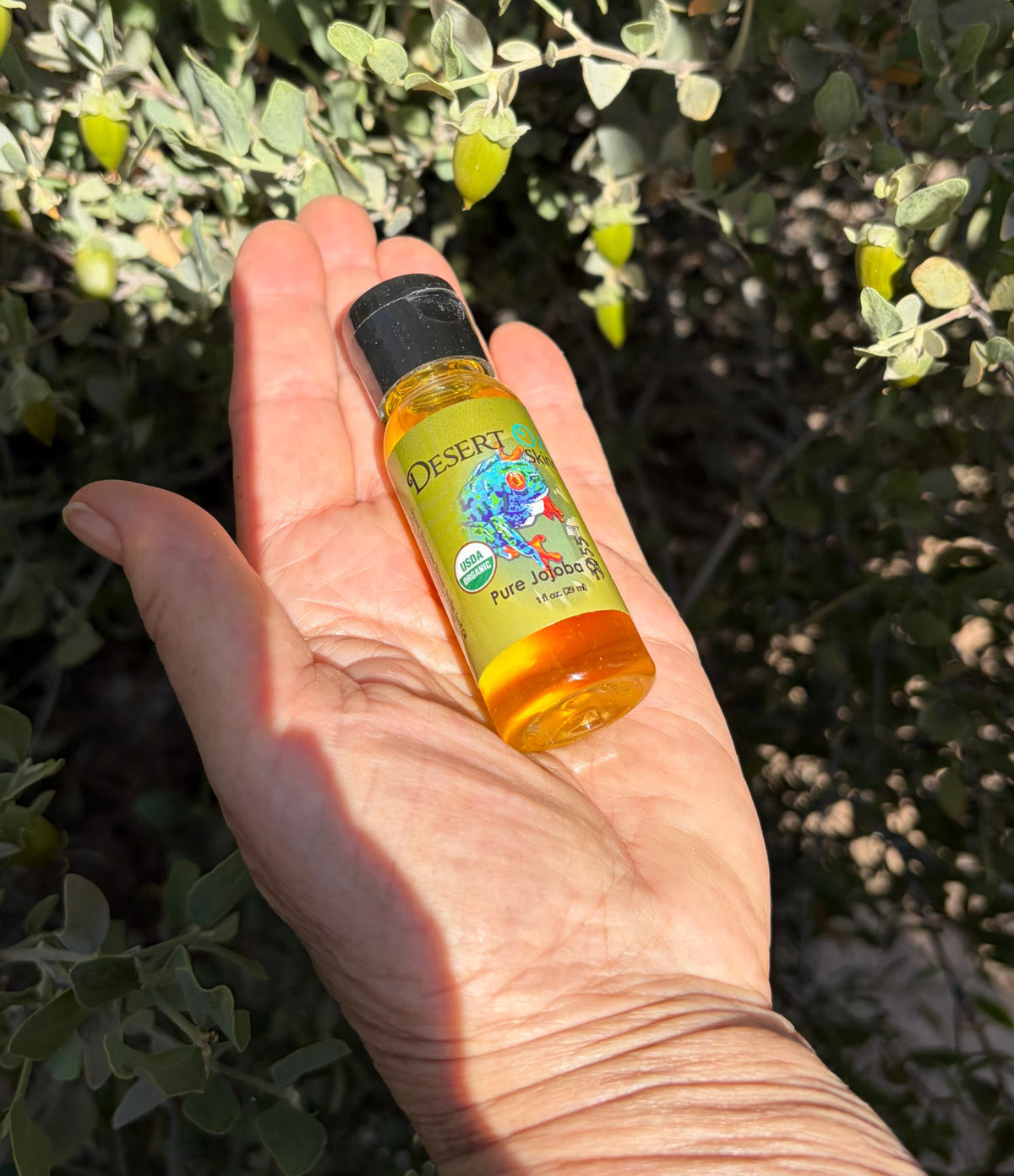 USDA Certified Organic Jojoba Oil 1 fl oz E502