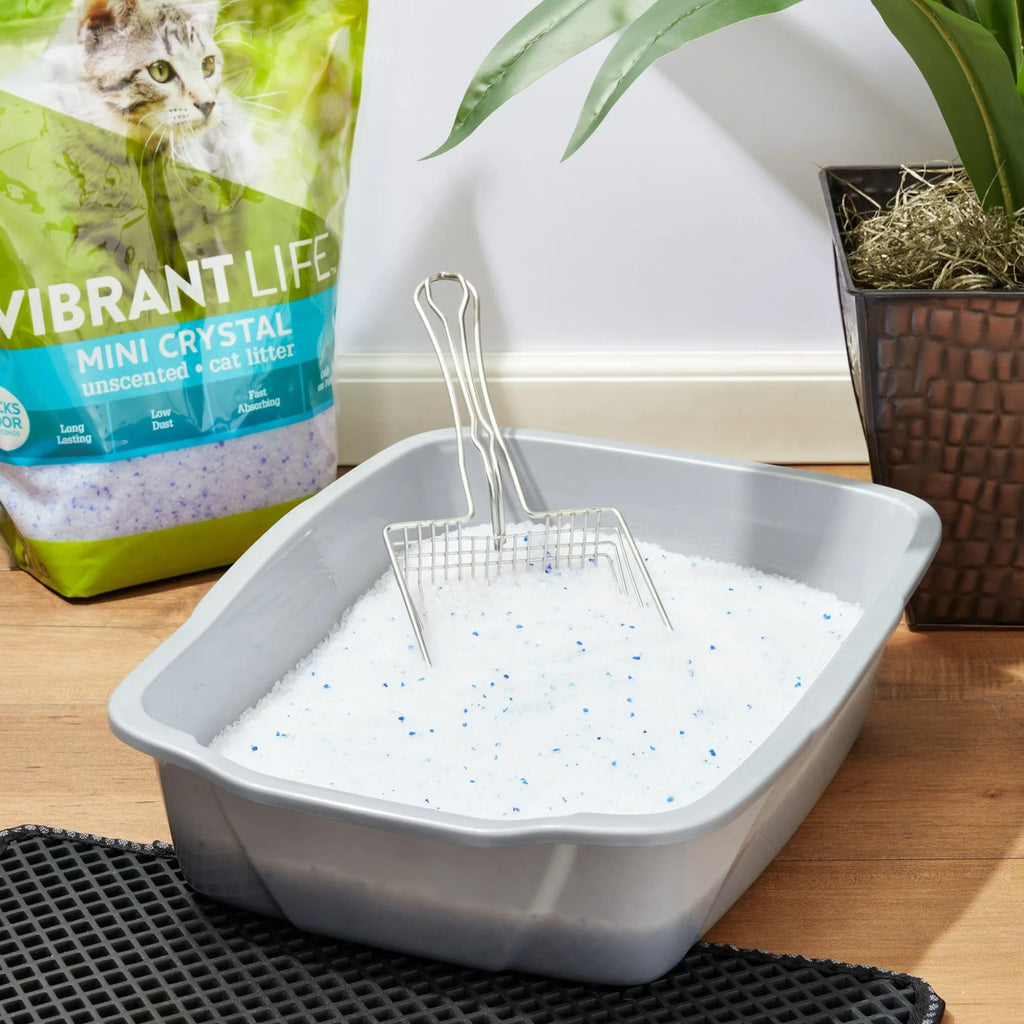 Unscented 8 lb Cat Litter B43739