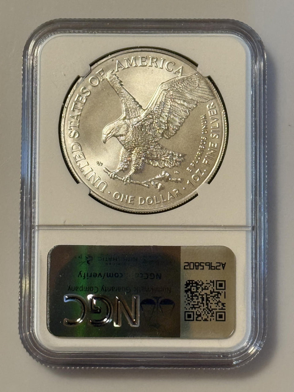 1 oz Silver Coin Y239266