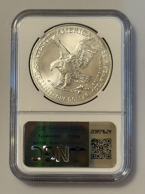1 oz Silver Coin Y239266