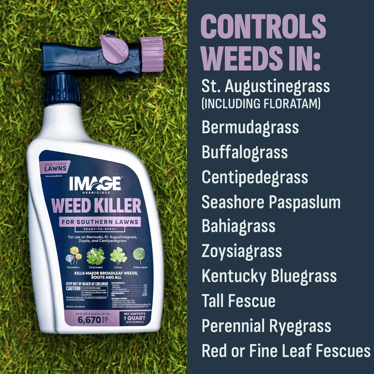 32 Oz Weed Killer V966697